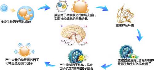 植物神经紊乱的症状